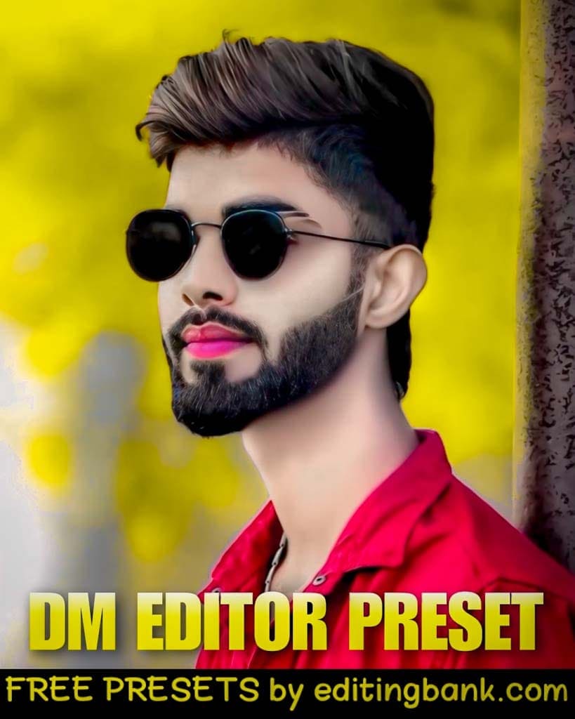 DM EDITOR Lightroom Presets free download