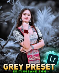 Grey Background Lightroom Presets