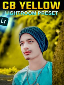CB Yellow Lightroom Presets