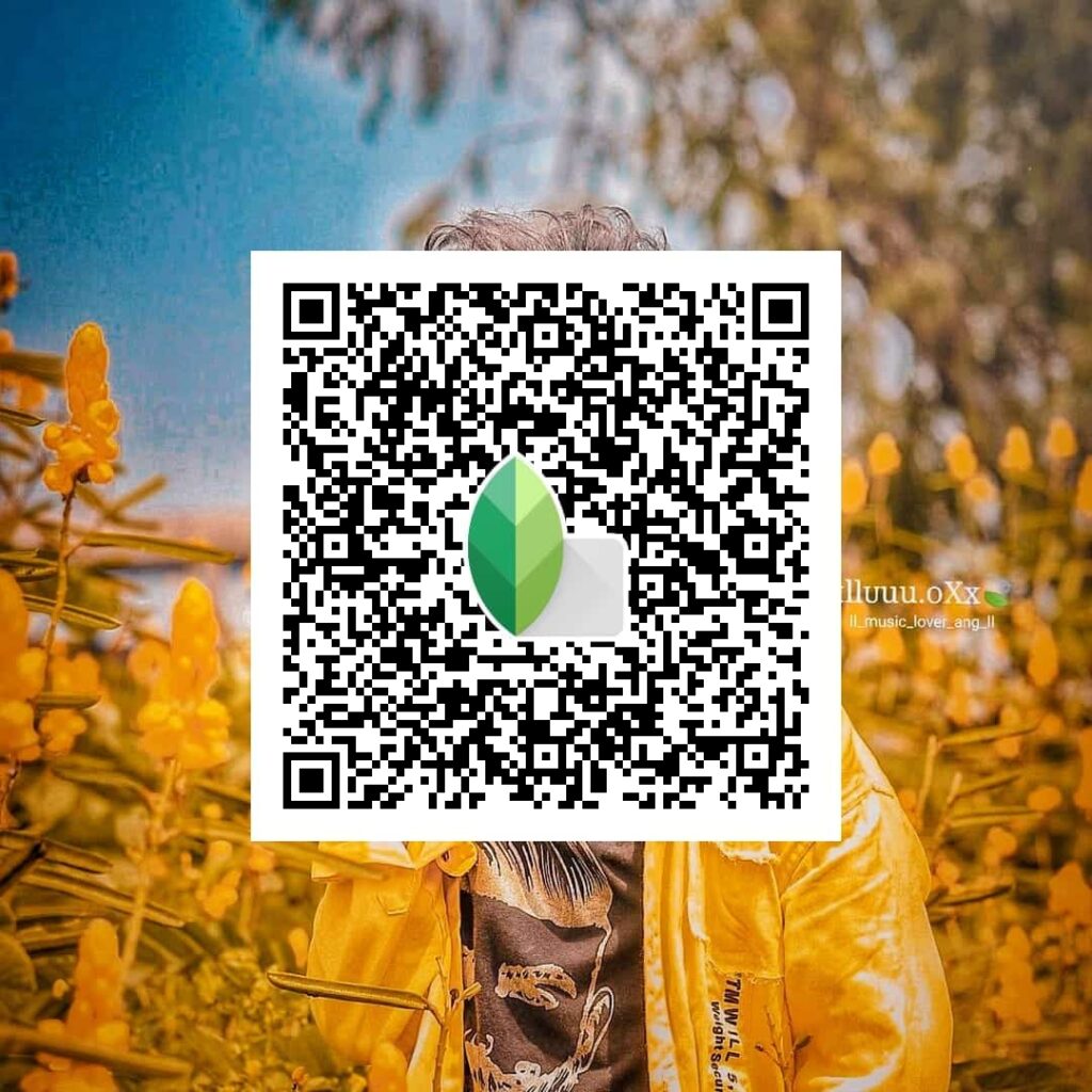 Snapseed Qr Codes