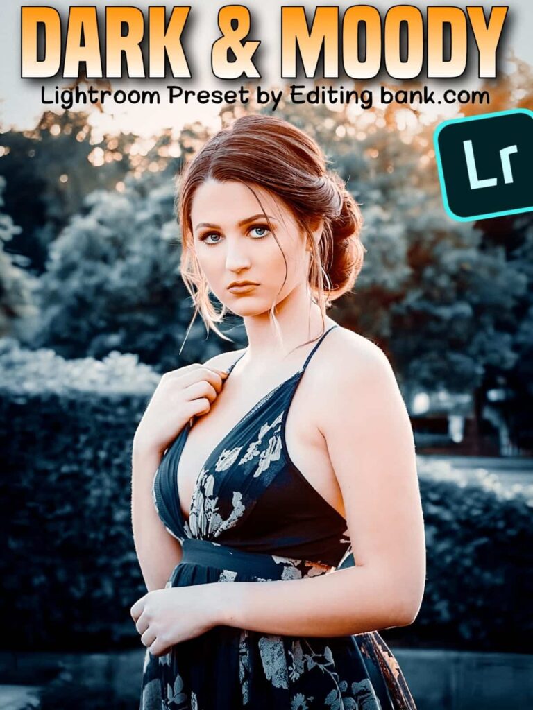 Dark and Moody Lightroom Presets