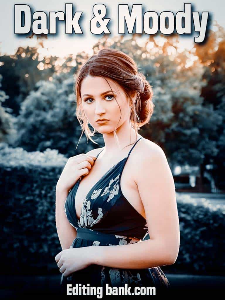 Dark and Moody Lightroom Presets