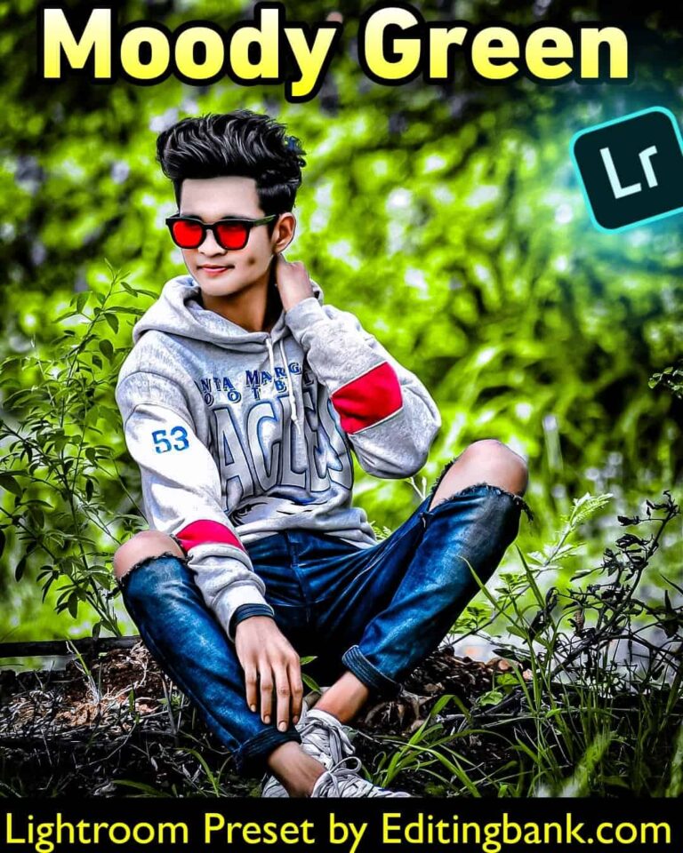 Moody Green Lightroom Presets