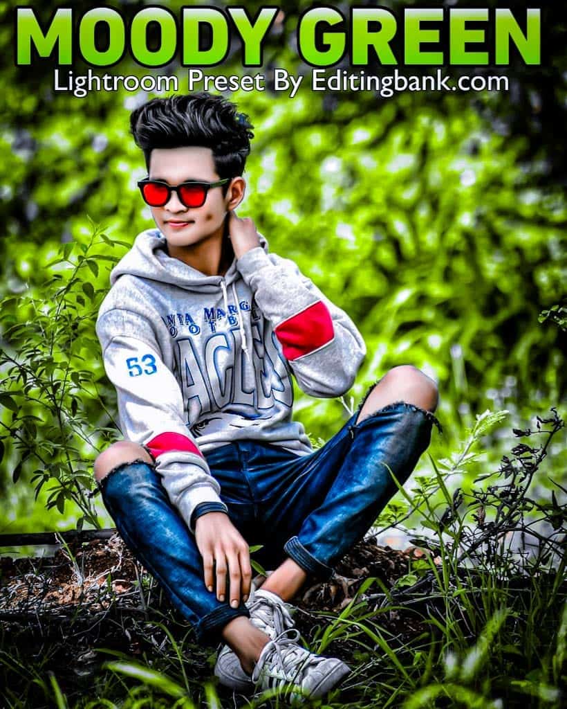 Lightroom dark green Presets