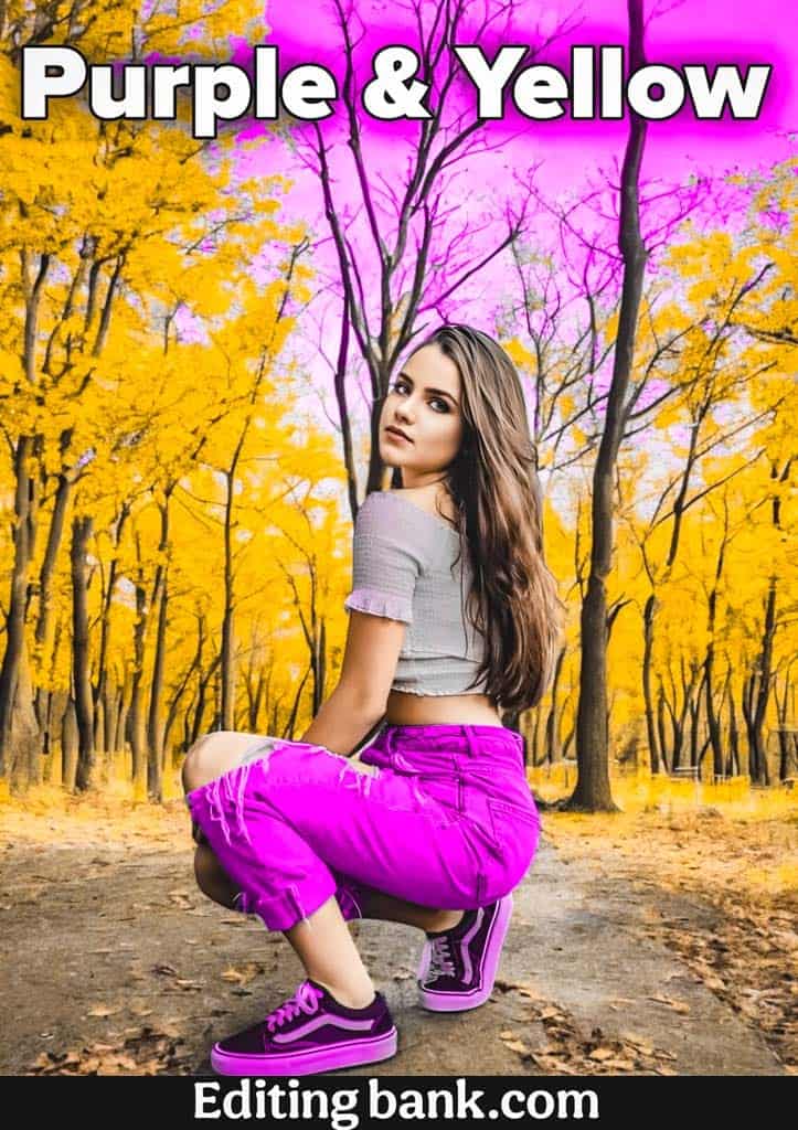 Purple And Yellow Lightroom Presets