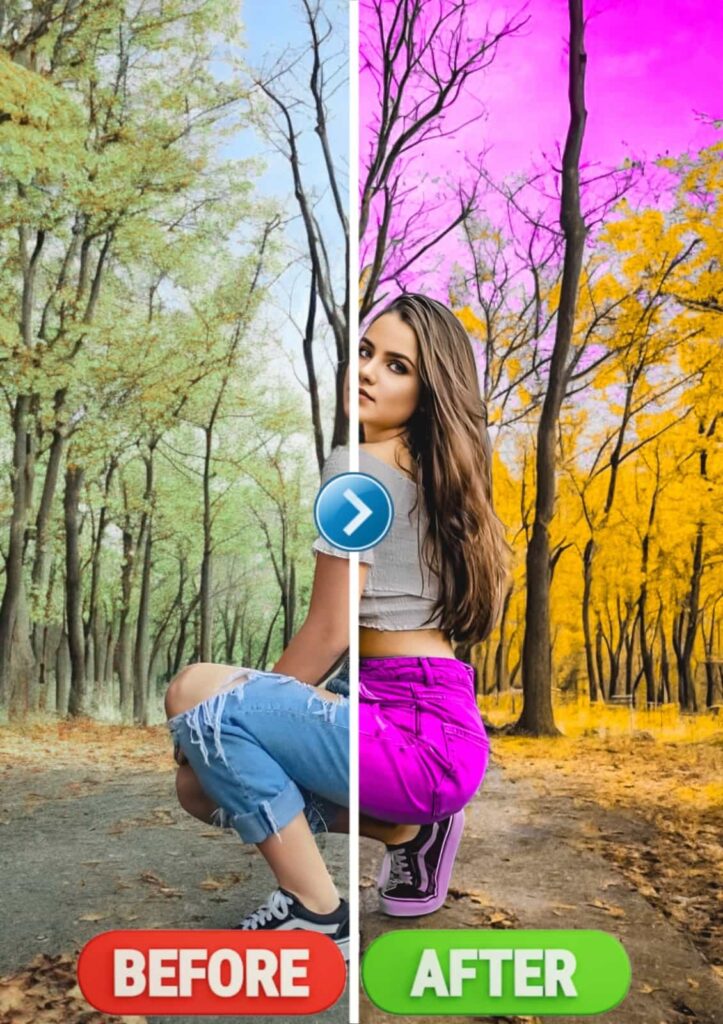 lightroom preset copy paste