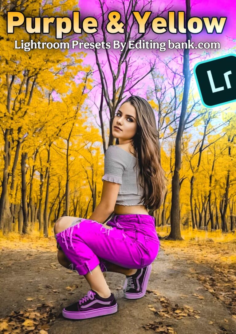 Purple And Yellow Lightroom Presets
