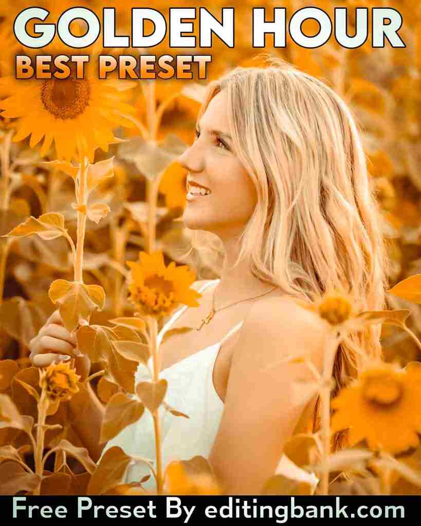 Golden Hour Preset Lightroom Mobile