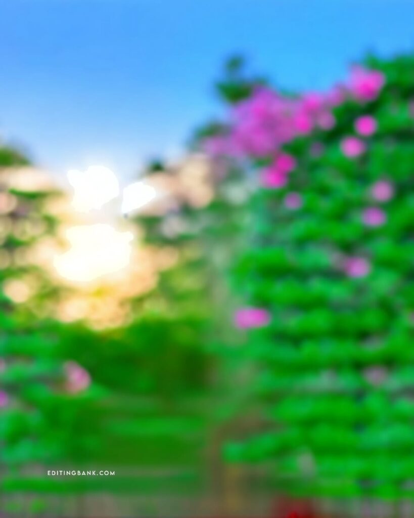 Blur Picsart Editing Background Girl
