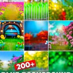 Blur Picsart Photo Editing Background