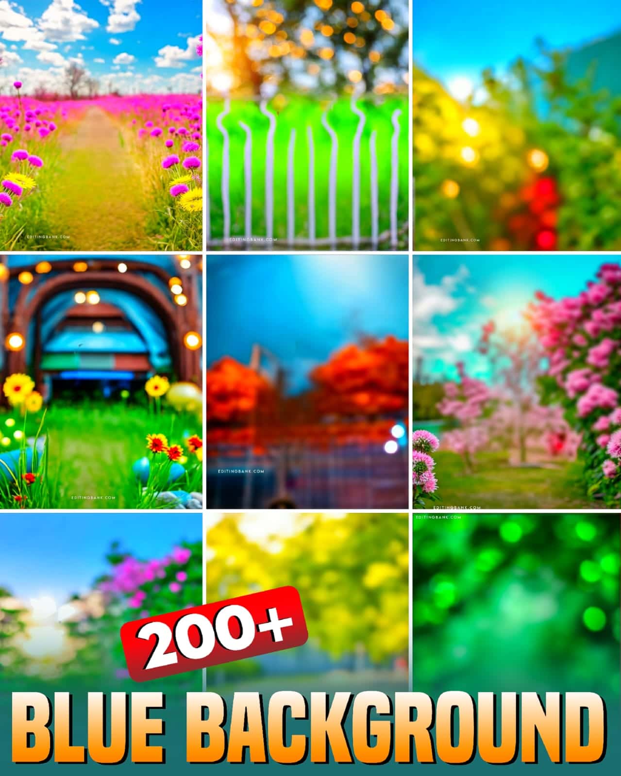 Blur Picsart Photo Editing Background