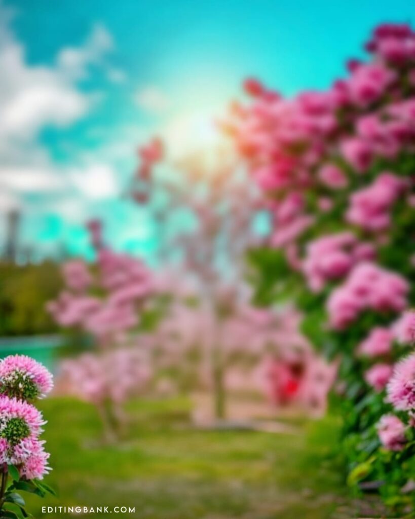 Picsart Blur Photo Editing Background