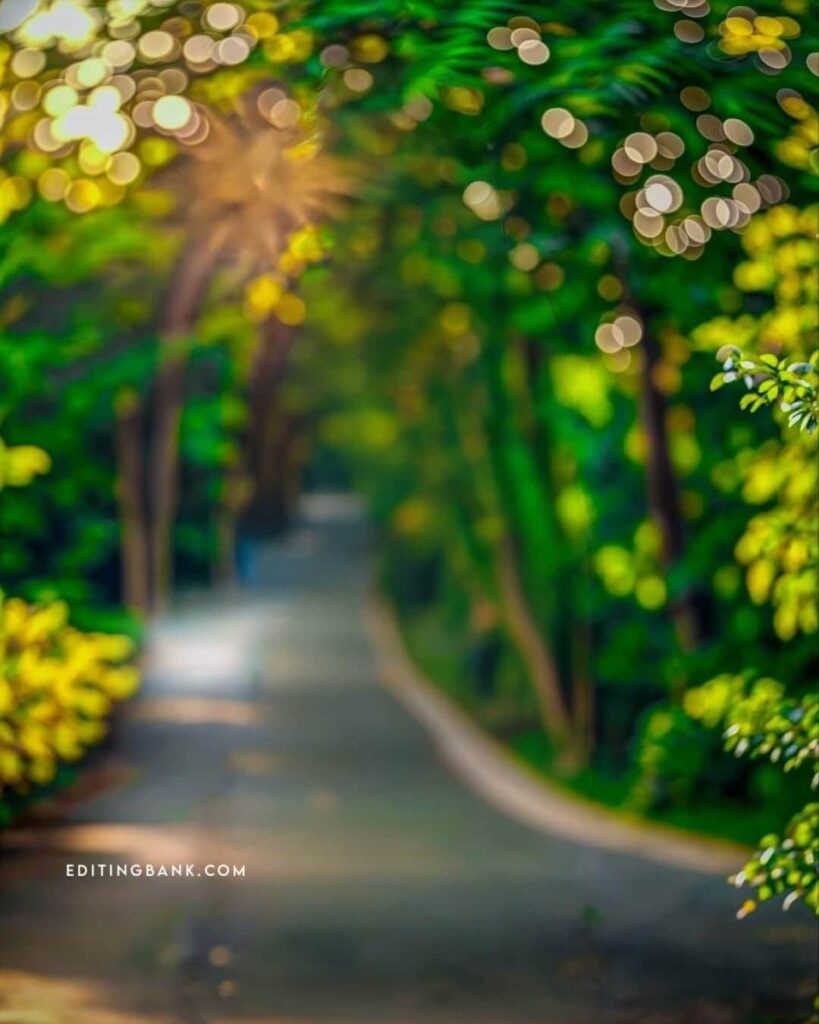 Santali Editing Background 4K