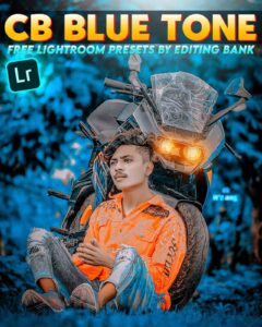 CB Blue Lightroom Presets