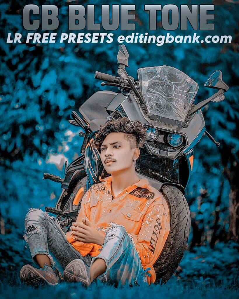 Lightroom Blue Preset
