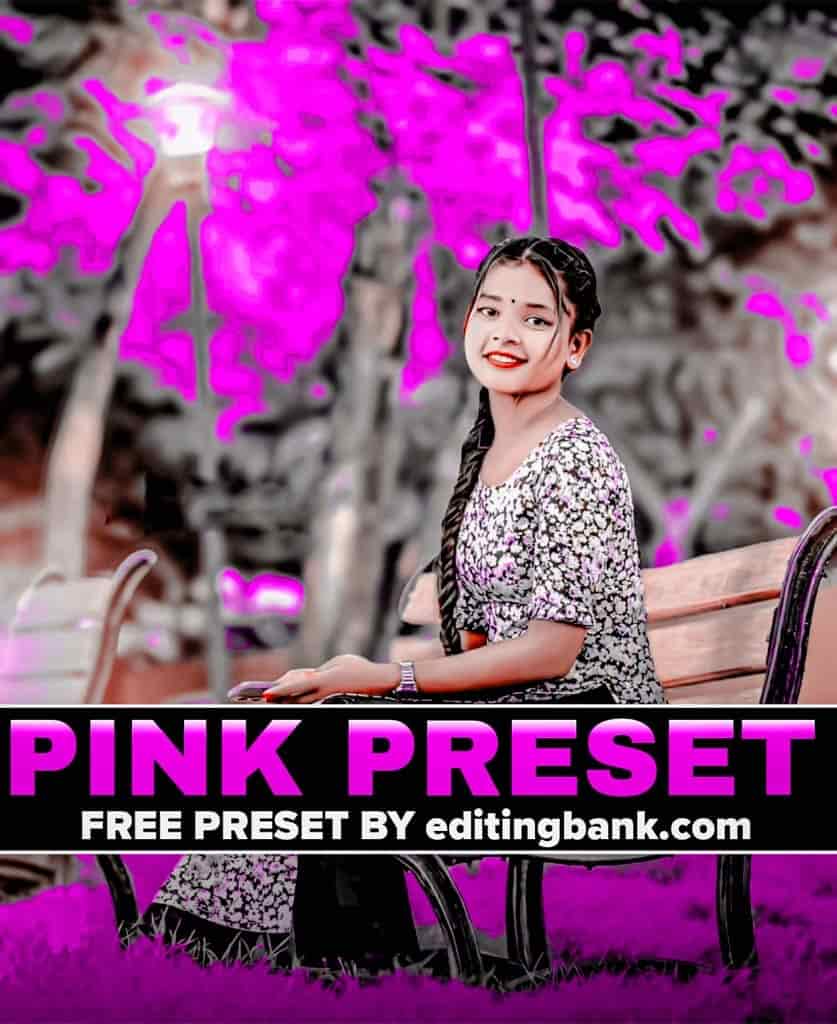 Best Pink Tone Lightroom Presets