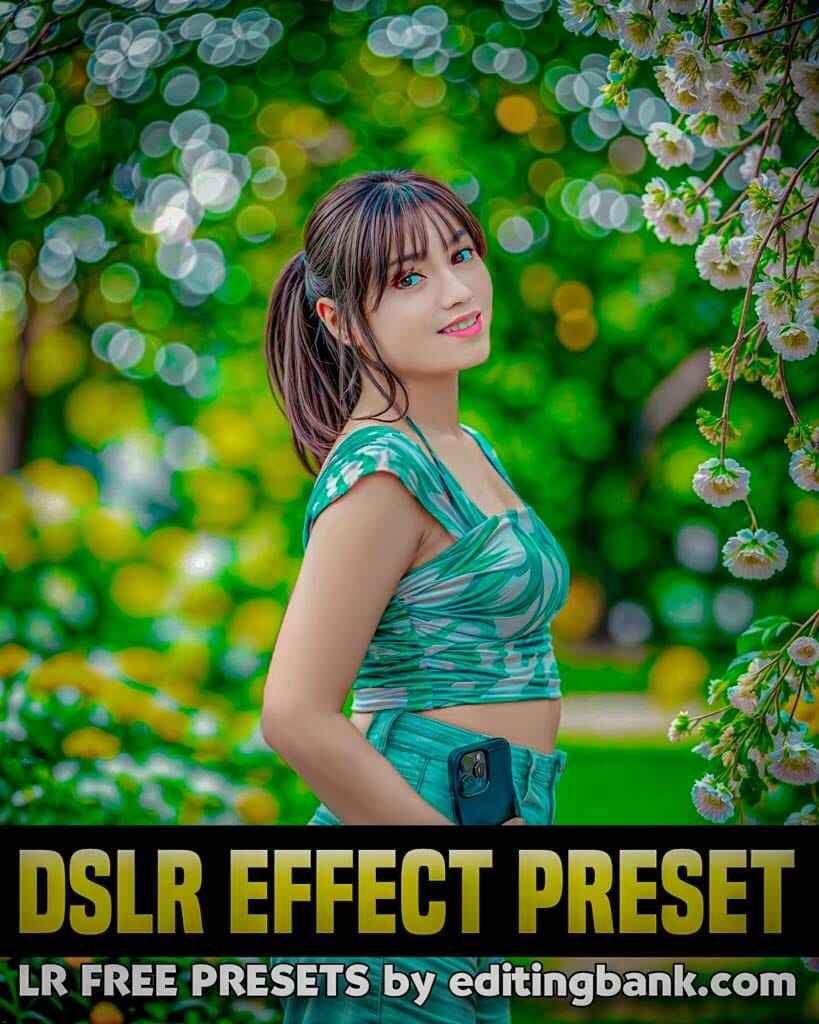 DSLR presets for Lightroom