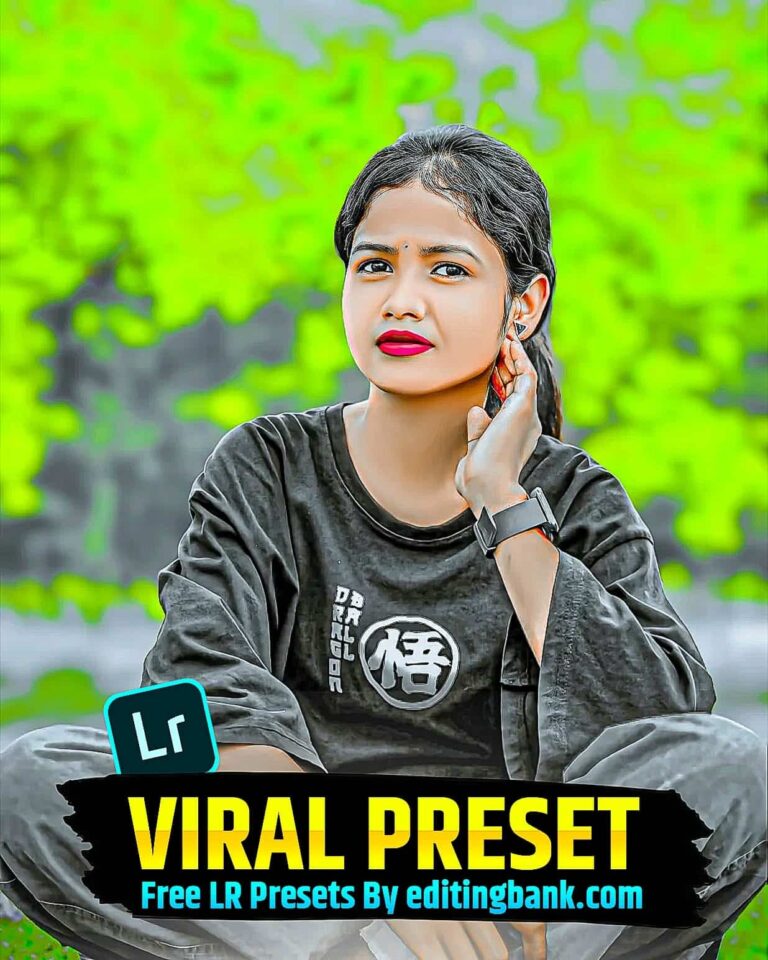 Instagram Viral Lightroom Presets