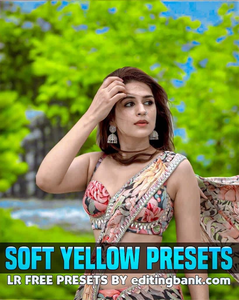 Yellow Lightroom Presets Mobile
