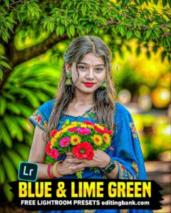 Blue and Lime Green Lightroom Preset