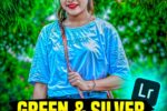 Green and Silver Lightroom Presets