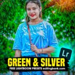 Green and Silver Lightroom Presets