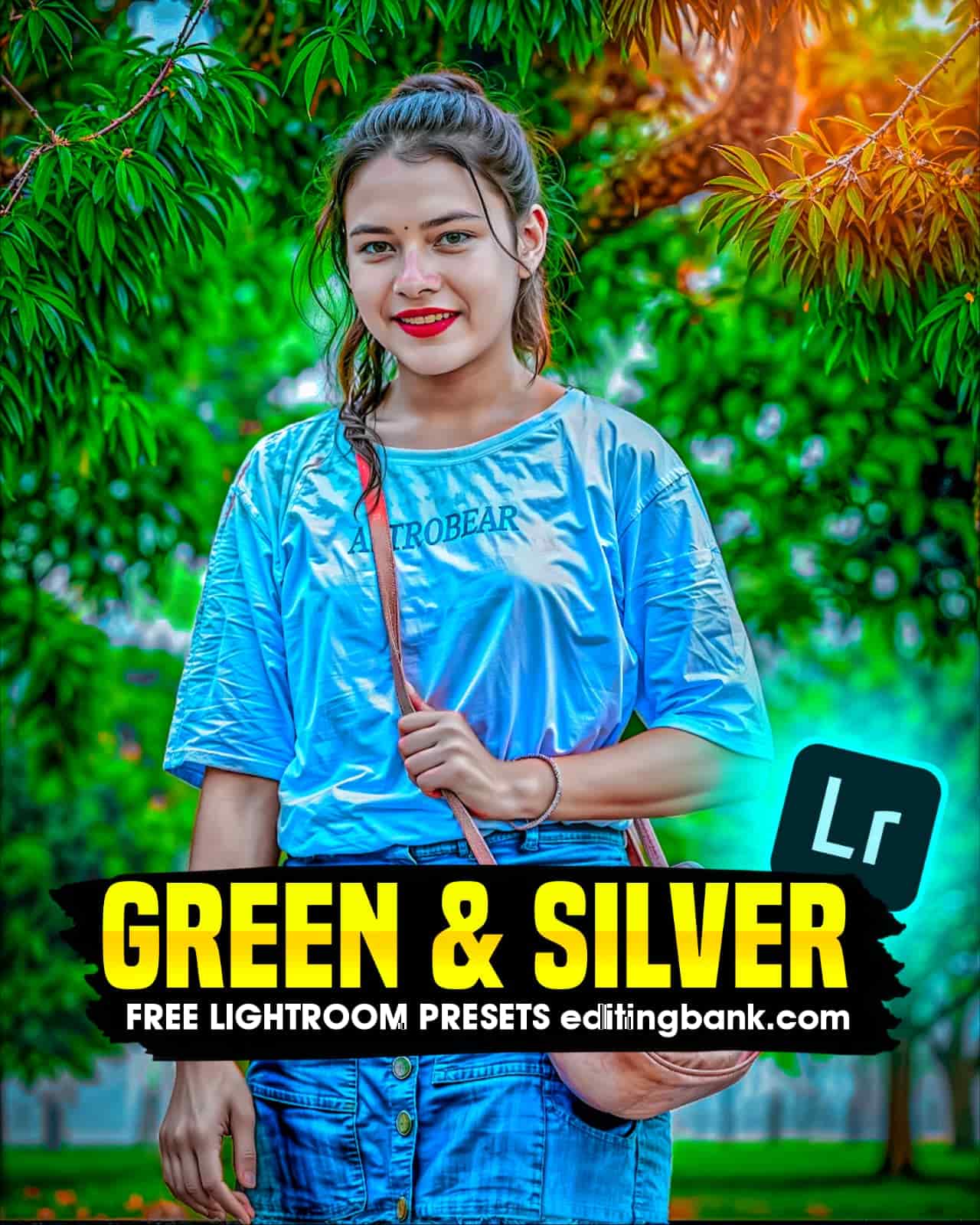 Green and Silver Lightroom Presets