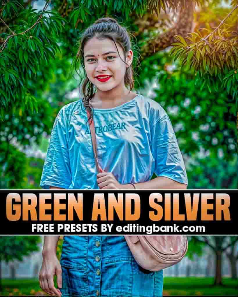 Green and Silver Tone Lightroom Presets