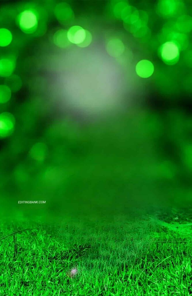 New Trending Background